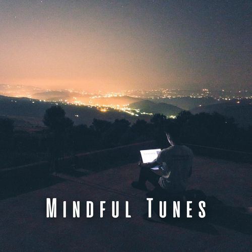 Mindful Tunes: Chill Music for a Work-Life Balance_poster_image