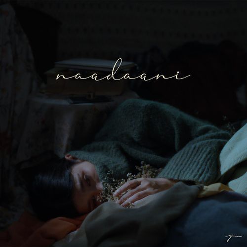 Naadaani