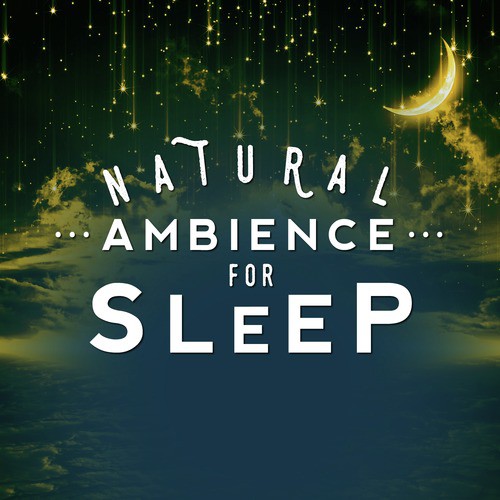 Natural Ambience for Sleep_poster_image