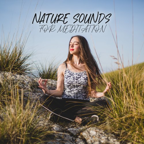 Nature Sounds for Meditation: Natural Mindfulness