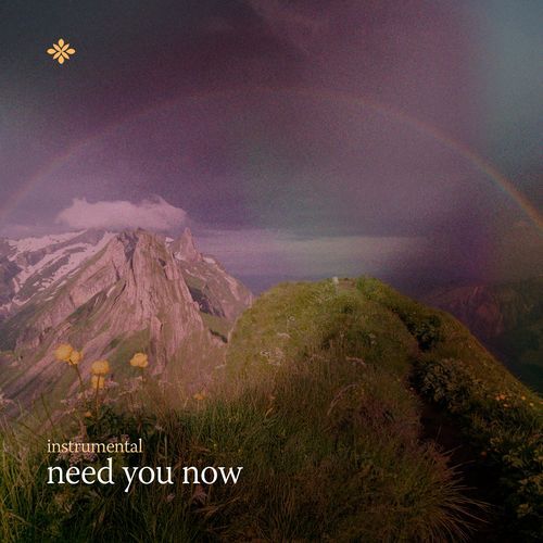 Need You Now (Instrumental)