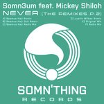 Never (Seamus Haji Remix)