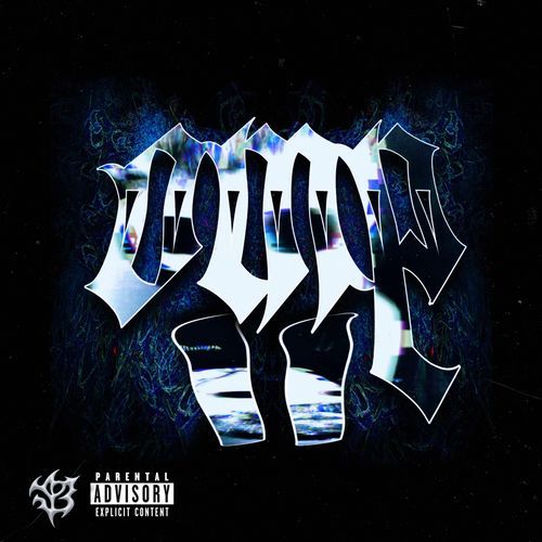FEJLCITERET cover art