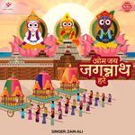 Om Jai Jagannath Hare