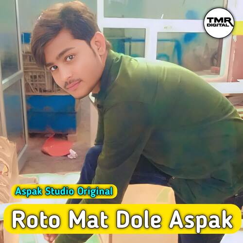 Roto Mat Dole Aspak