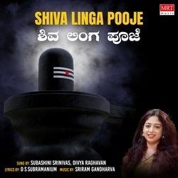 Shiva Linga Pooje-GgQlRkRZZWo