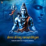 Shree Shivay Namastubhyam