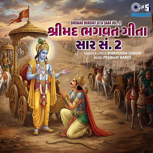 Shrimad Bhagvat Gita Saar, Vol. 2