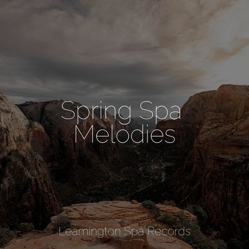 Meditating Music cover art