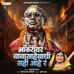 Tumhi Khata Tya Bhakari Ver Baba Sahebachi Sahi Hay Ra (Md Creation)