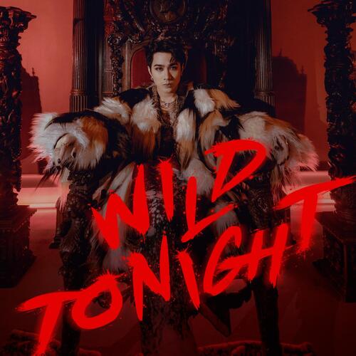 WILD TONIGHT Lyrics JOSH CULLEN Only on JioSaavn