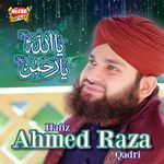 Ali Mola