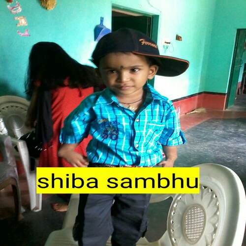 shiba sambhu