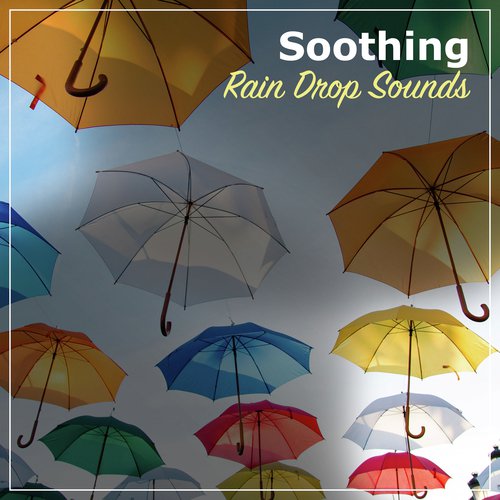 #10 Soothing Rain Drop Sounds_poster_image