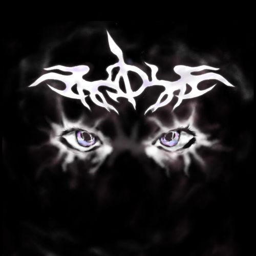 2Hollis cover art
