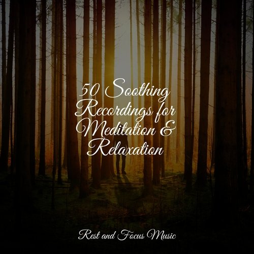 50 Soothing Recordings for Meditation & Relaxation