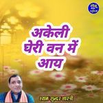 Akeli Gheri Van Me Aay