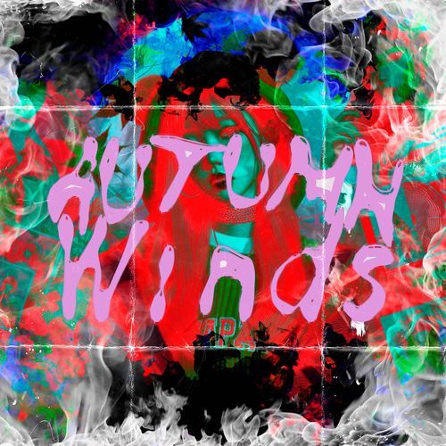 I’m Your Fan cover art