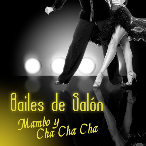 Chipi Chipi Lyrics Bailes de Salon Mambo y Cha Cha Cha Only