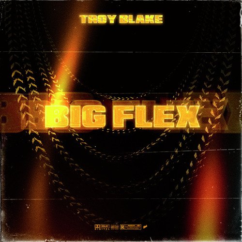 Big Flex cover art