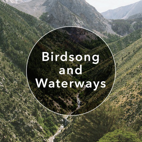 Birdsong and Waterways