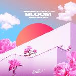 Bloom (Brendan Mills Remix) artwork