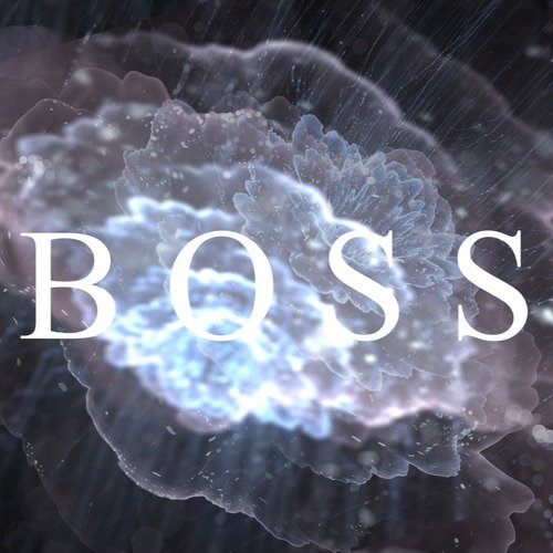 Boss cover art