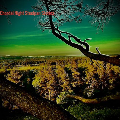 Chordal Night Steelpan Stories cover art