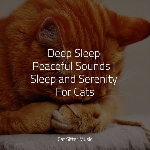 Deep Sleep Peaceful Sounds | Sleep and Serenity For Cats_poster_image