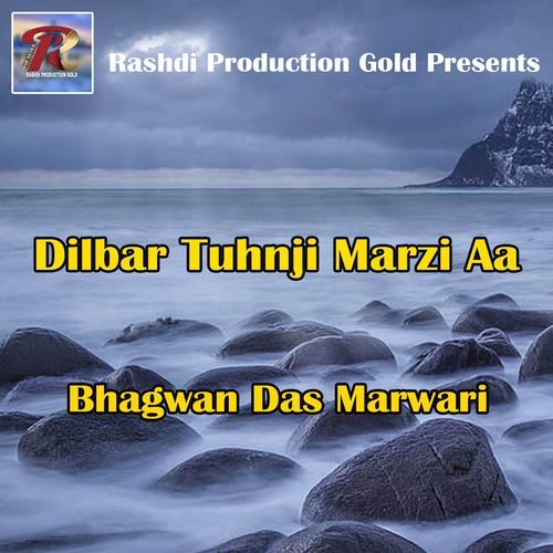 Dilbar Tuhnji Marzi Aa