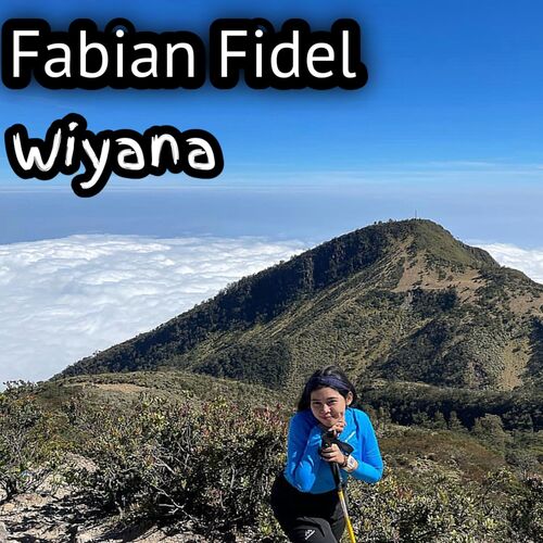 Fabian Fidel cover art