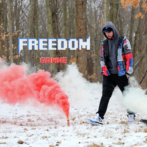 Freedom_poster_image