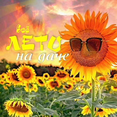 Полтергейст Lyrics - Всё Лето На Даче - Only On JioSaavn