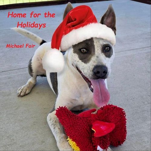 Home for the Holidays