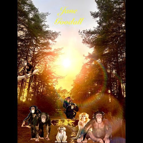 Jane Goodall cover art