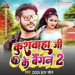 Kushawaha Ji Ke Baigan 2