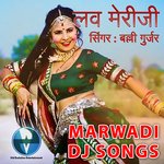 Love Meriji (Marwadi Dj Song)