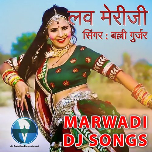 Love Meriji (Marwadi Dj Song)_poster_image