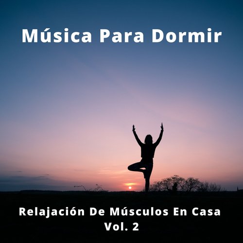 Música De Spa cover art