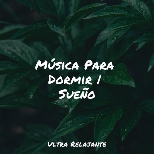 Armonía Relajante cover art