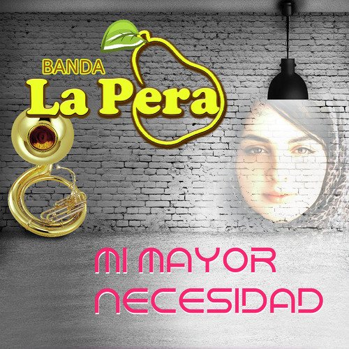 Mi Mayor Necesidad