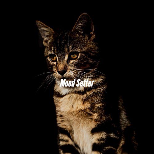 Jazz Guitar Soundtrack for Breezy Coffee cover art