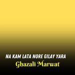 Na Kam Lata Nore Gilay Yara