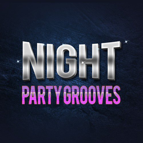 Night Party Grooves