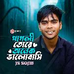 Pagli Tore Onek Valobashi