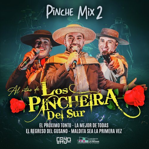 Pinche Mix 2