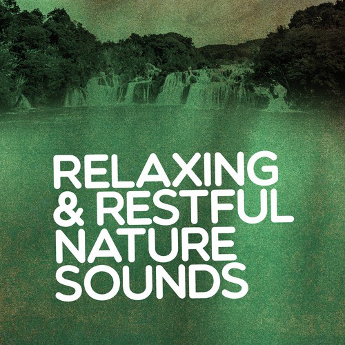 Relaxing & Restful Nature Sounds