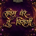 Saiyam Dhare Tu Vairagi