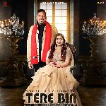 Tere Bin