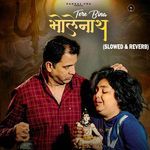 Tere Bina Bholenath (Slowed &amp; Reverb)